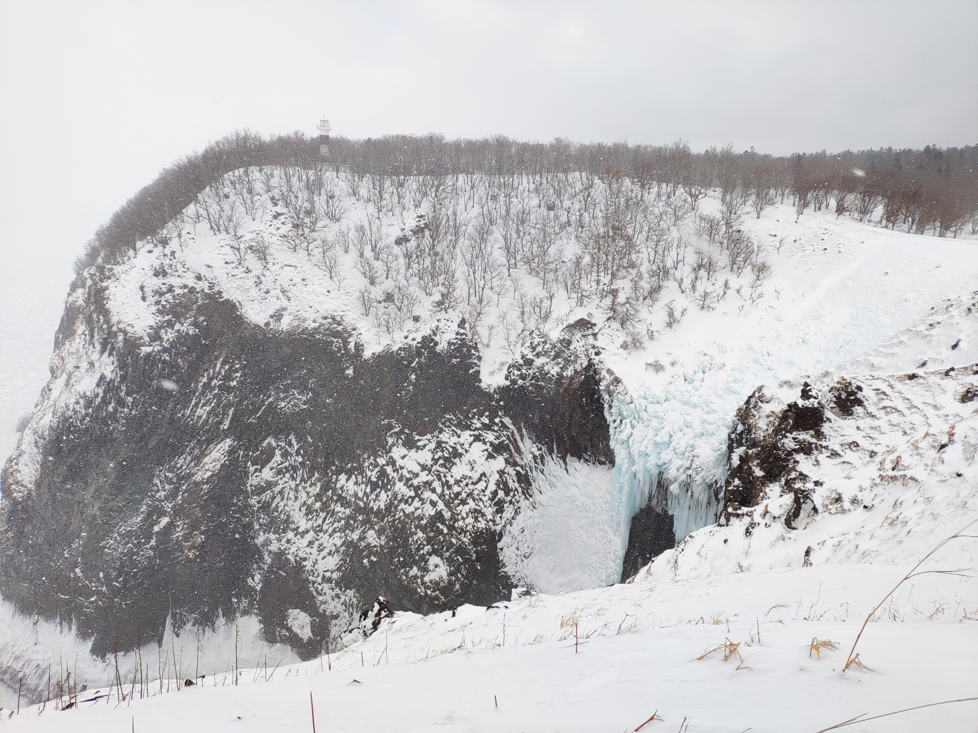 北海道自助遊攻略