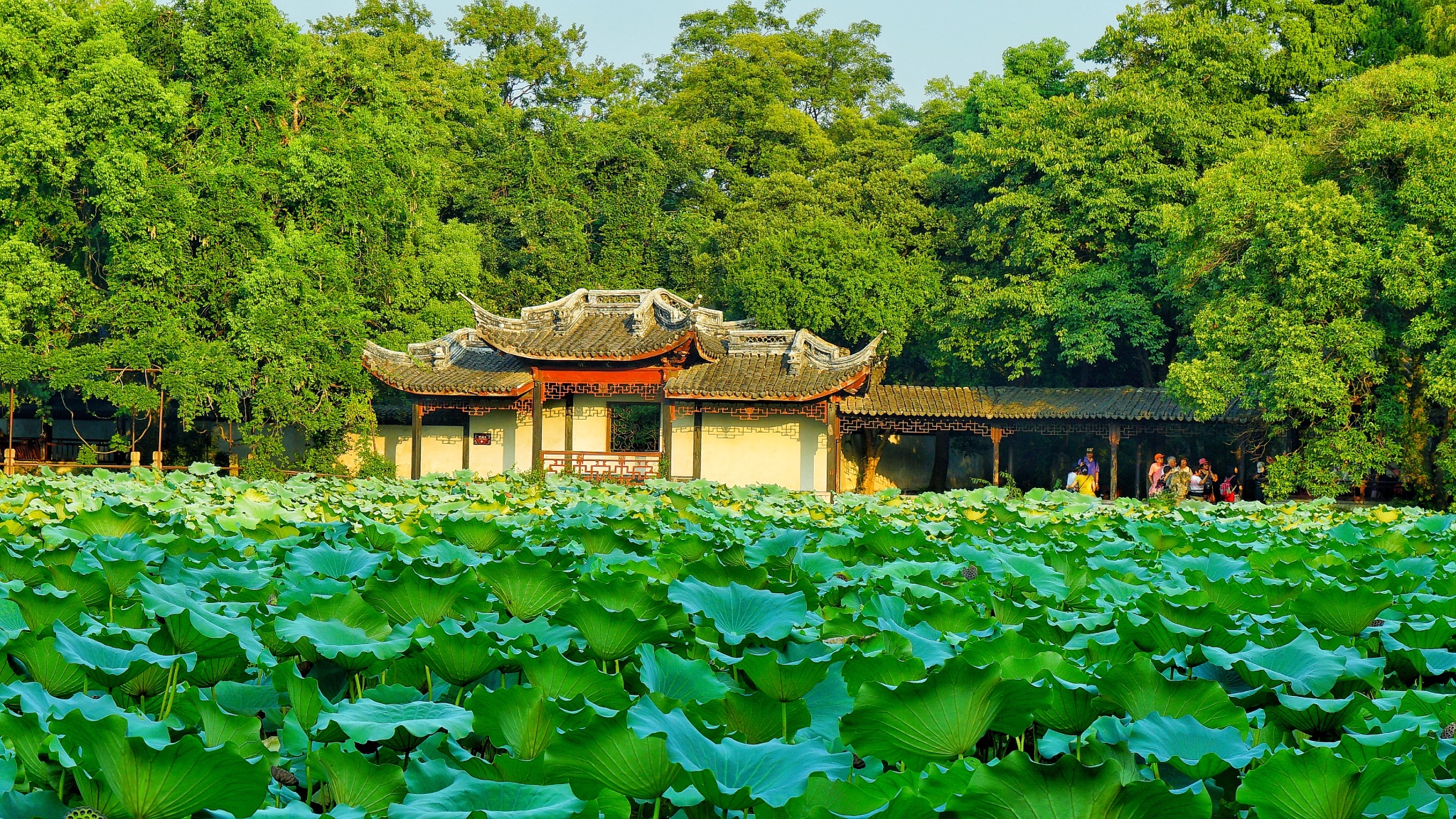 南潯自助遊攻略