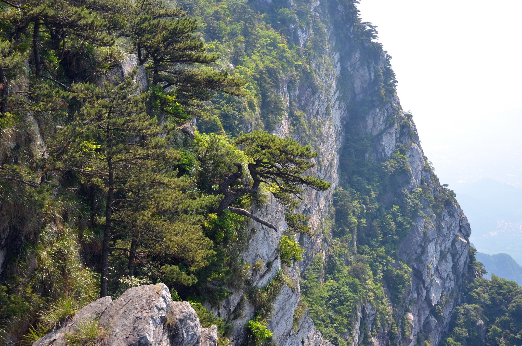 廬山自助遊攻略