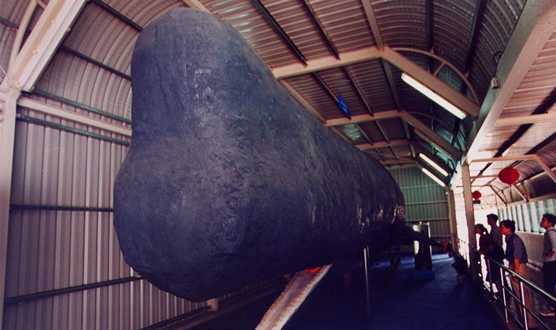 厦门鼓浪屿海底世界门票 (可选儿童票\/家庭票)