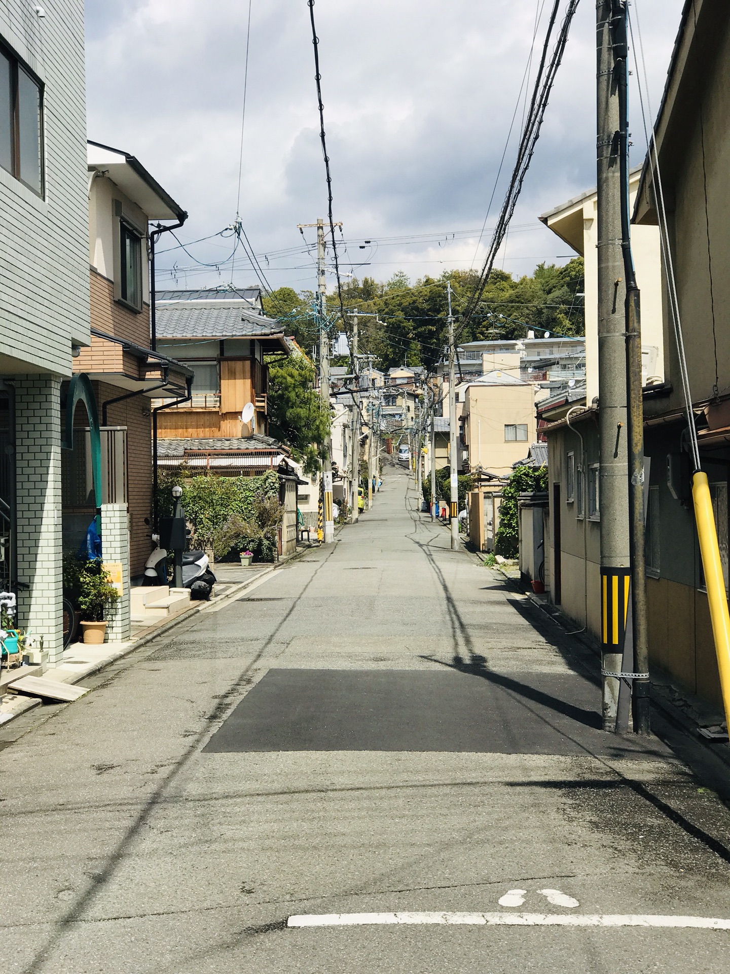 京都自助遊攻略