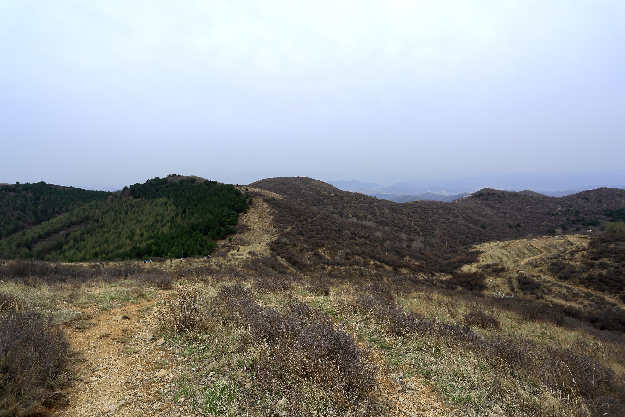 在那桃花盛开的地方——尖山--盂县游记--马蜂窝