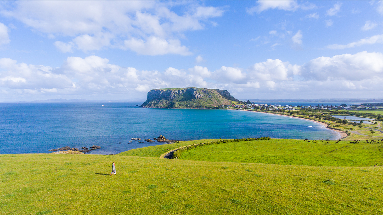 哪哪都是风景,拍摄偶尔也靠运气,希望大家都能在澳洲出大片吧～ 19条