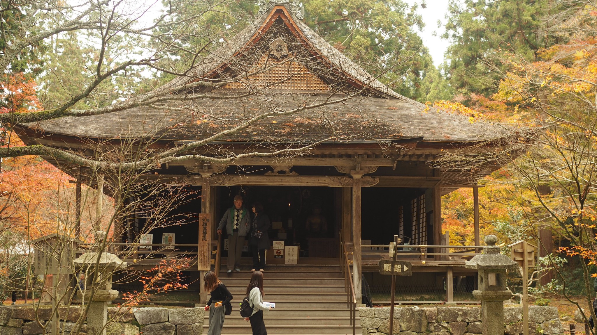 京都自助遊攻略