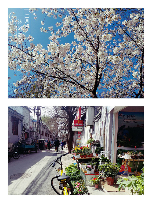 什么季节去北京玩合适 wKgBZ1oBN0uAOjAwAAZ3dRM2yLY94.jpeg?imageView2%2F2%2Fw%2F680%2Fq%2F90%7CimageMogr2%2Fstrip%2Fquality%2F90