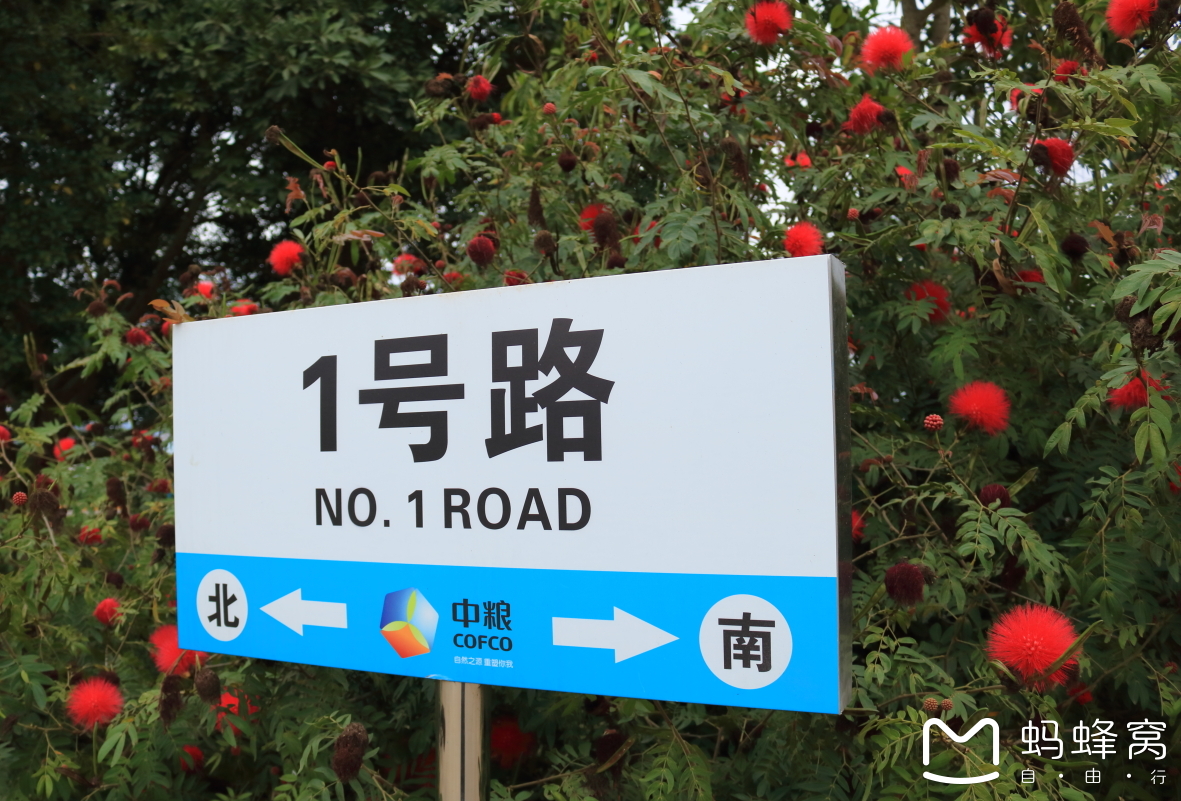 崇左驮卢人口_崇左人口图片