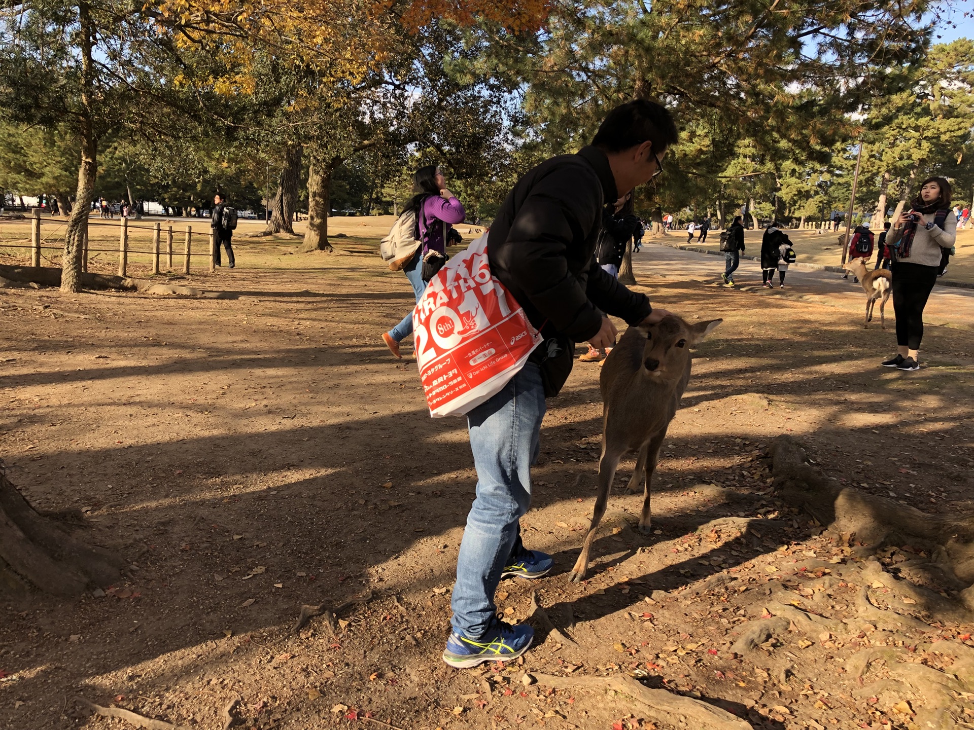 奈良自助遊攻略