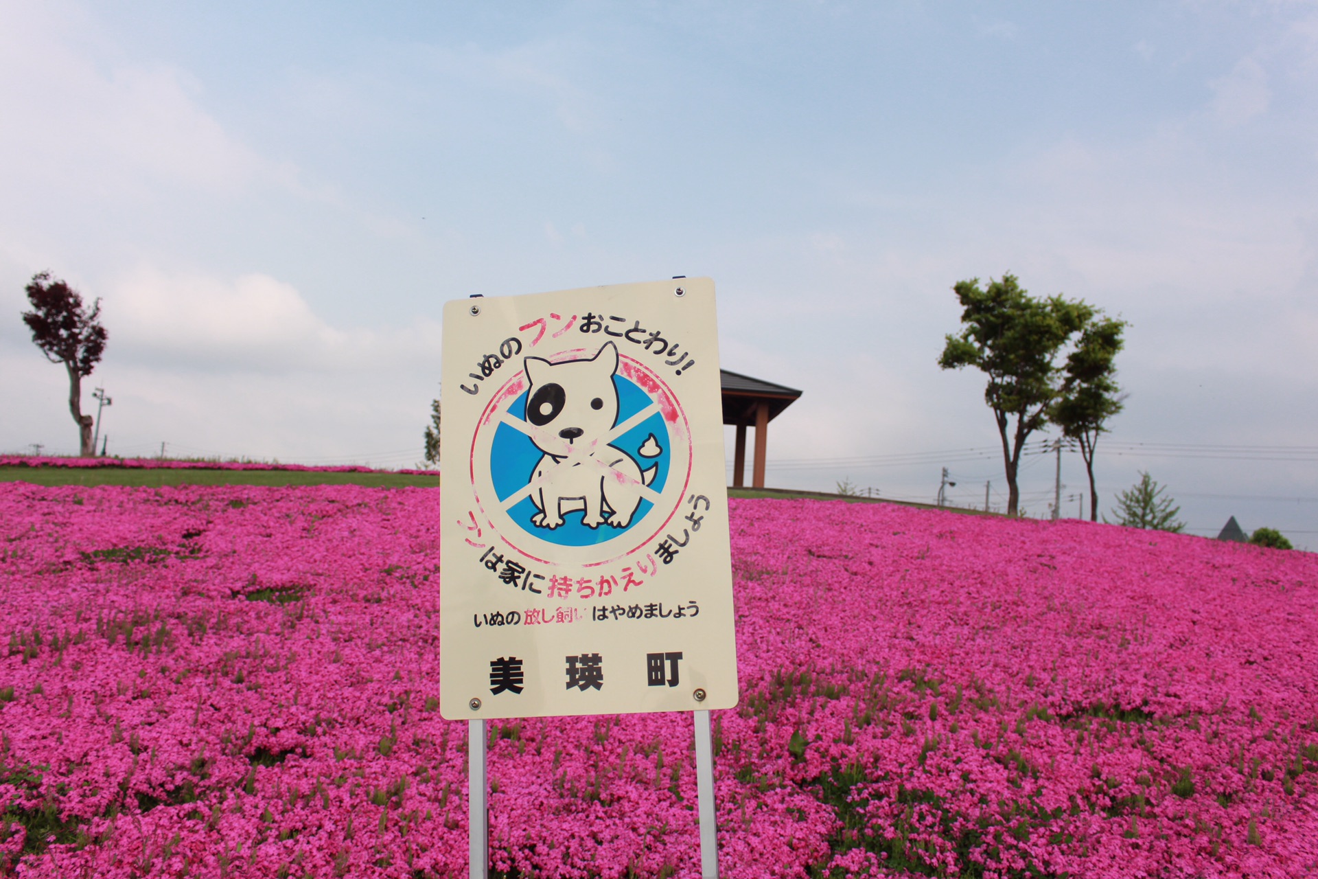 札幌自助遊攻略