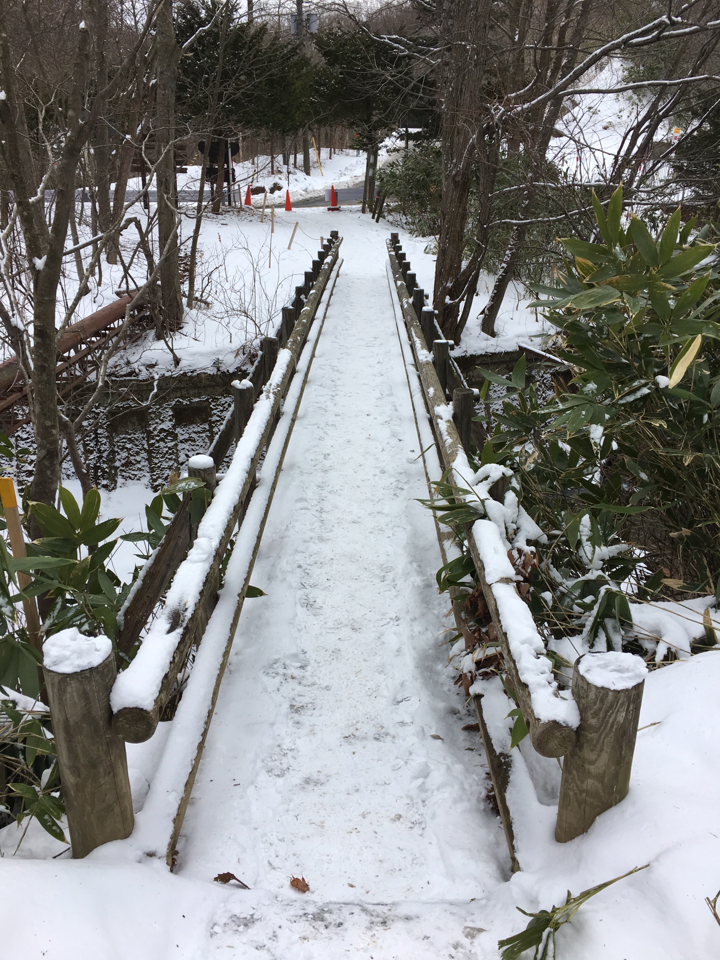 北海道自助遊攻略