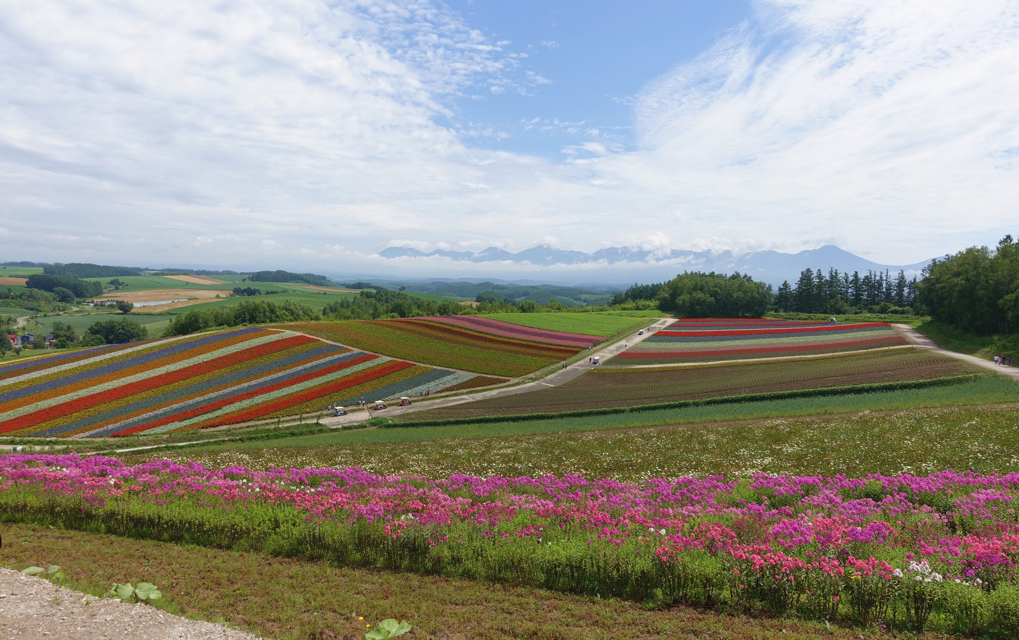 北海道自助遊攻略