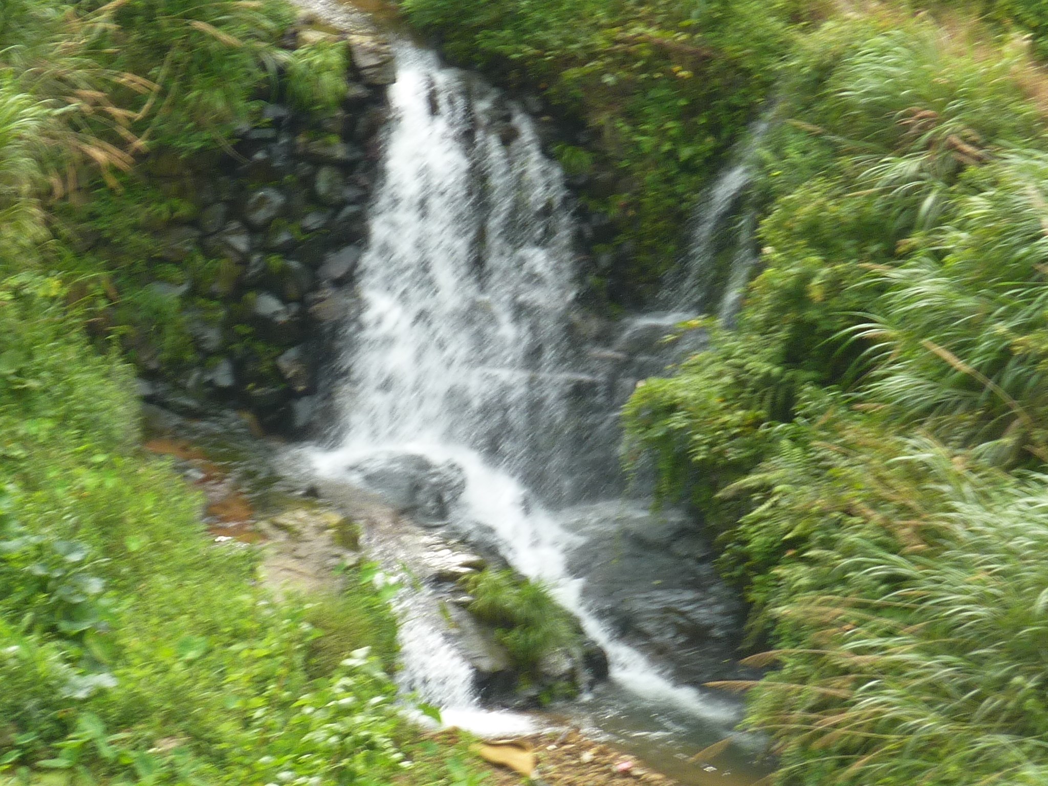 三清山自助遊攻略