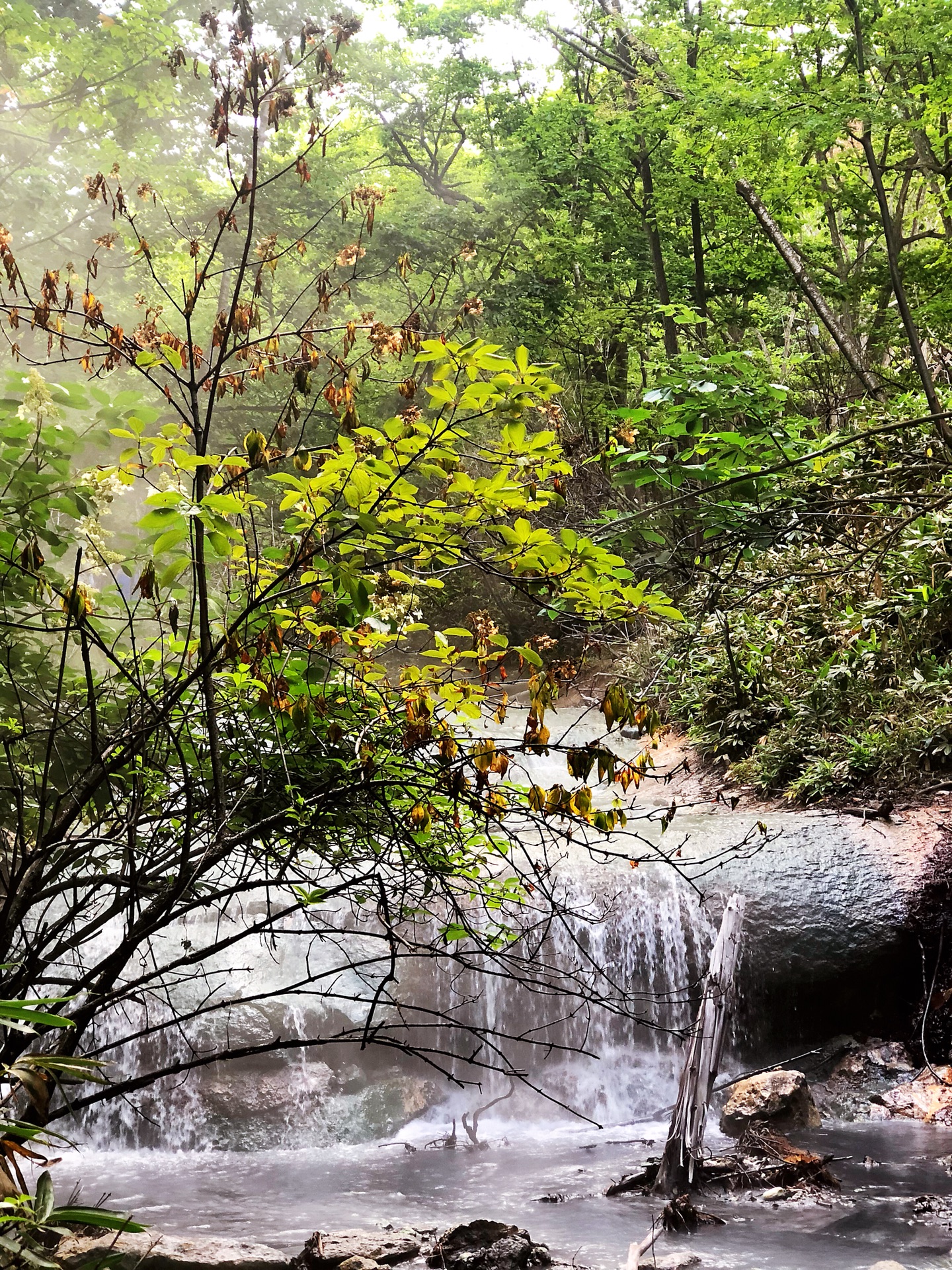 北海道自助遊攻略