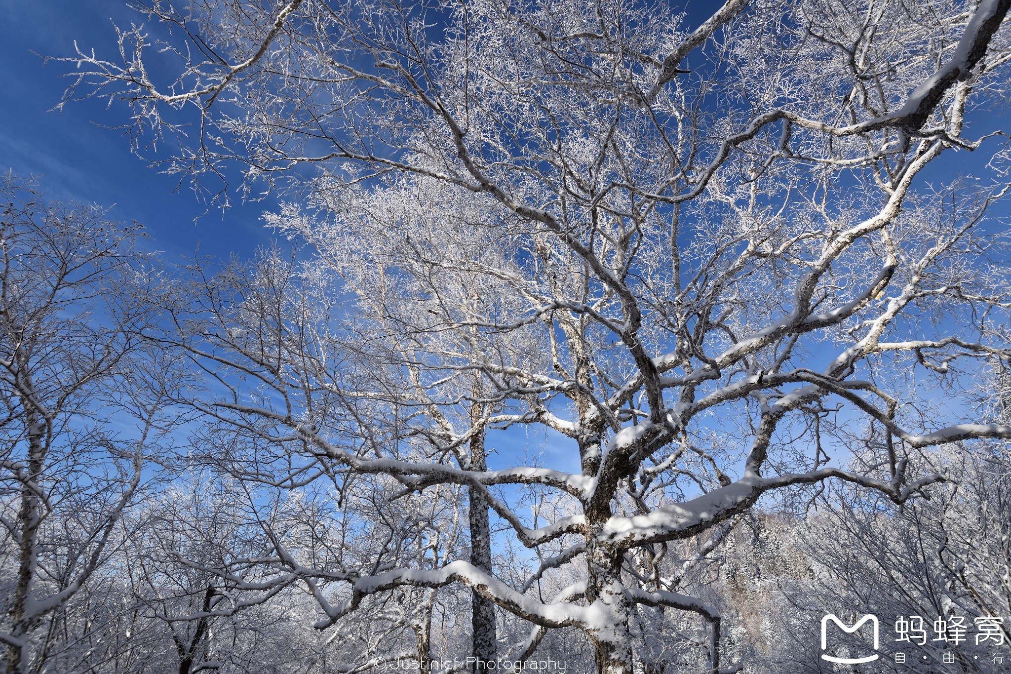 雪鄉自助遊攻略