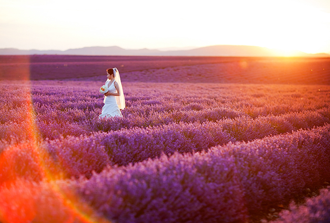 由“中国游客”展开的主观分析