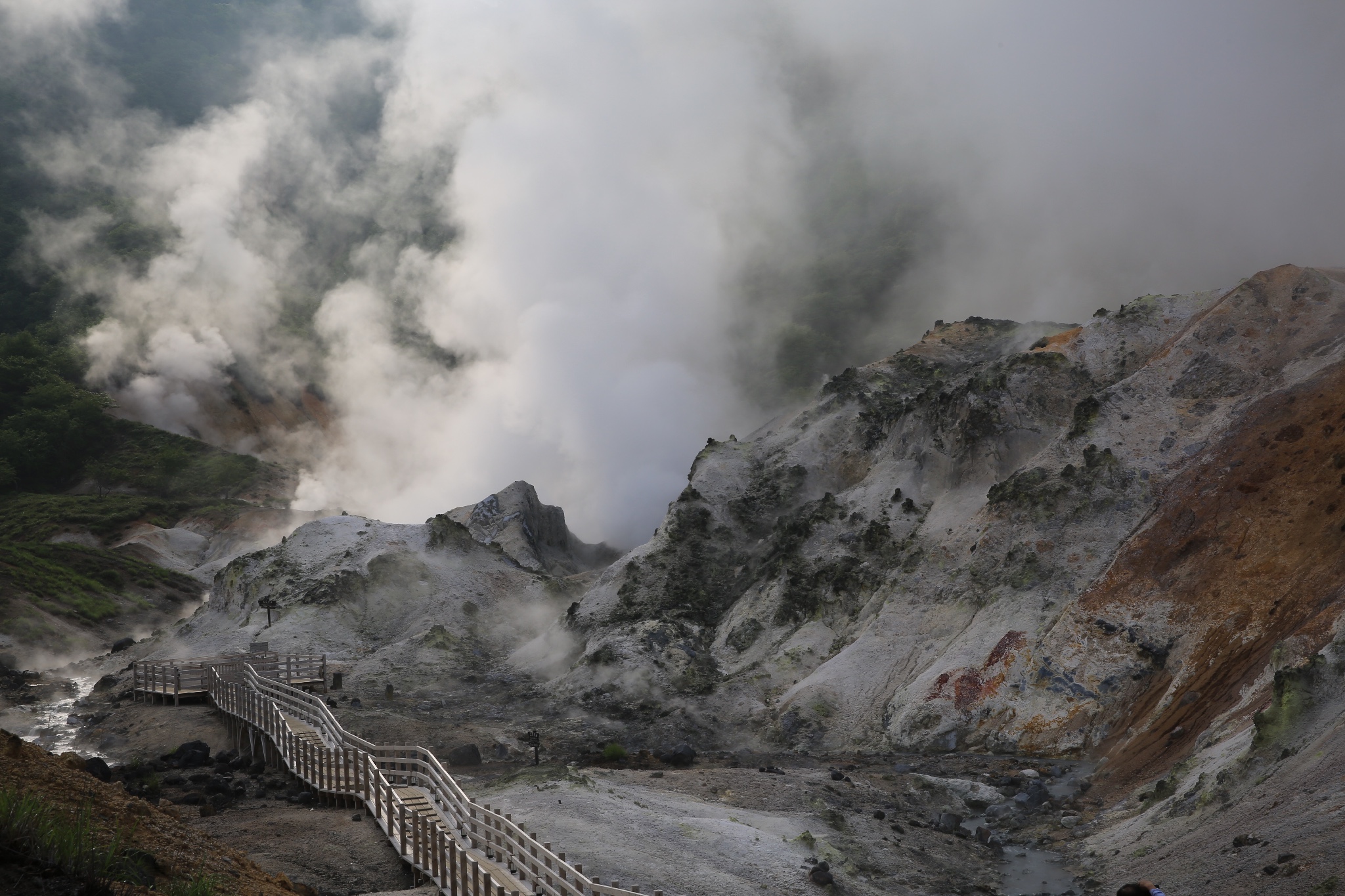 北海道自助遊攻略