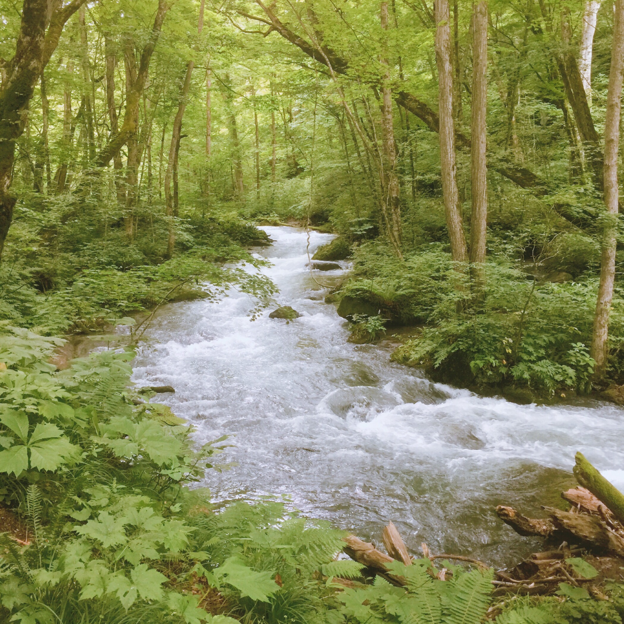 北海道自助遊攻略