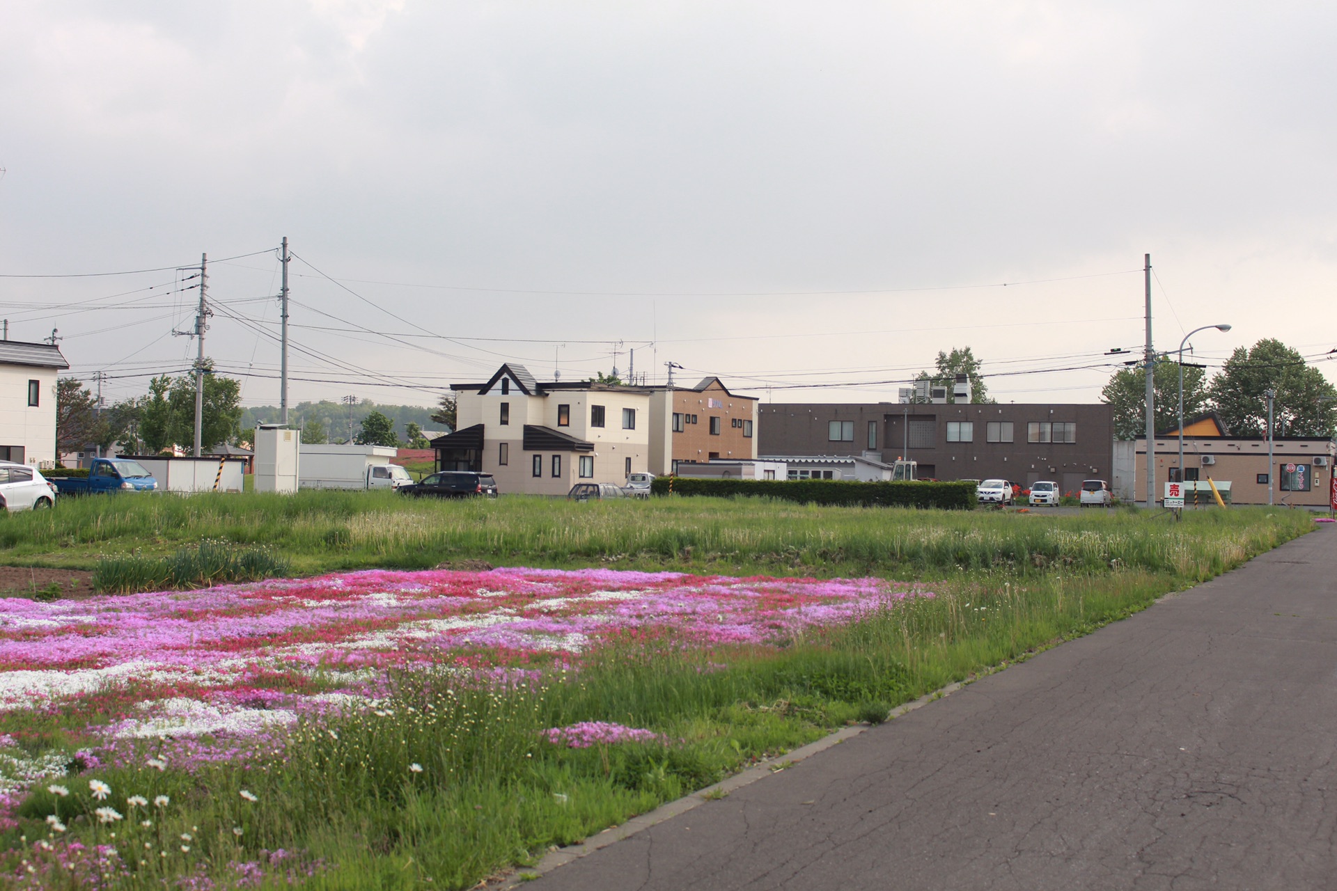 札幌自助遊攻略