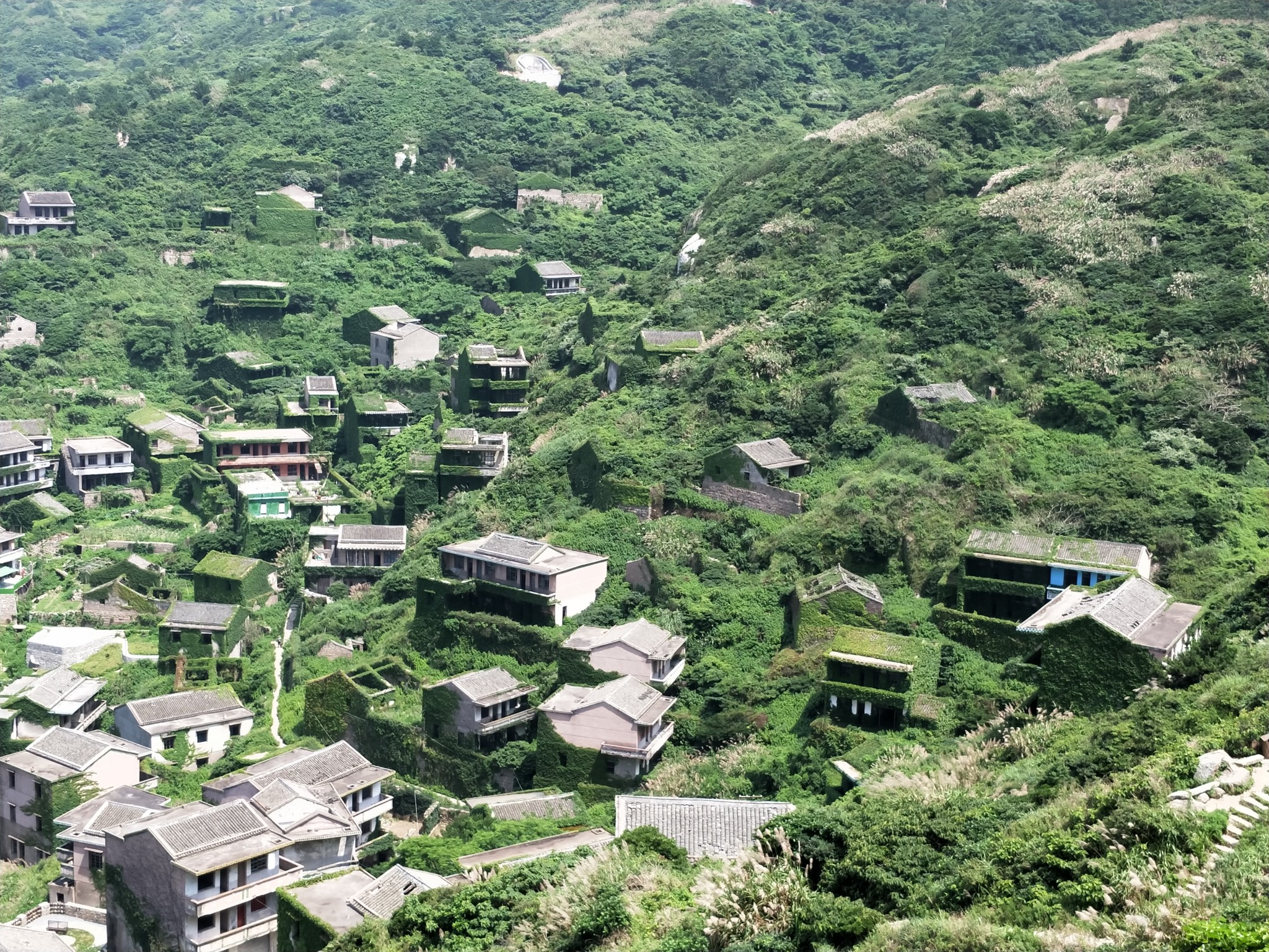 枸杞岛人均_枸杞岛(3)