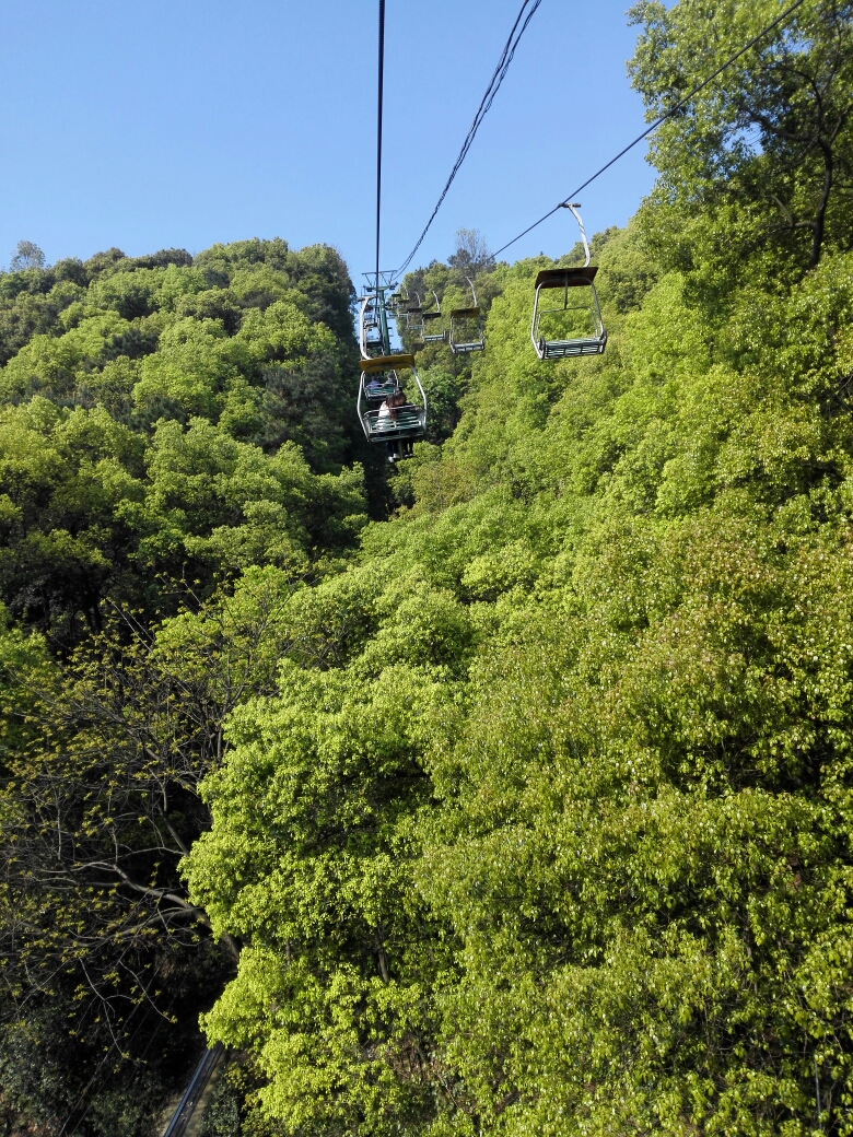 岳麓山景区人口稠密_岳麓山景区地图(3)