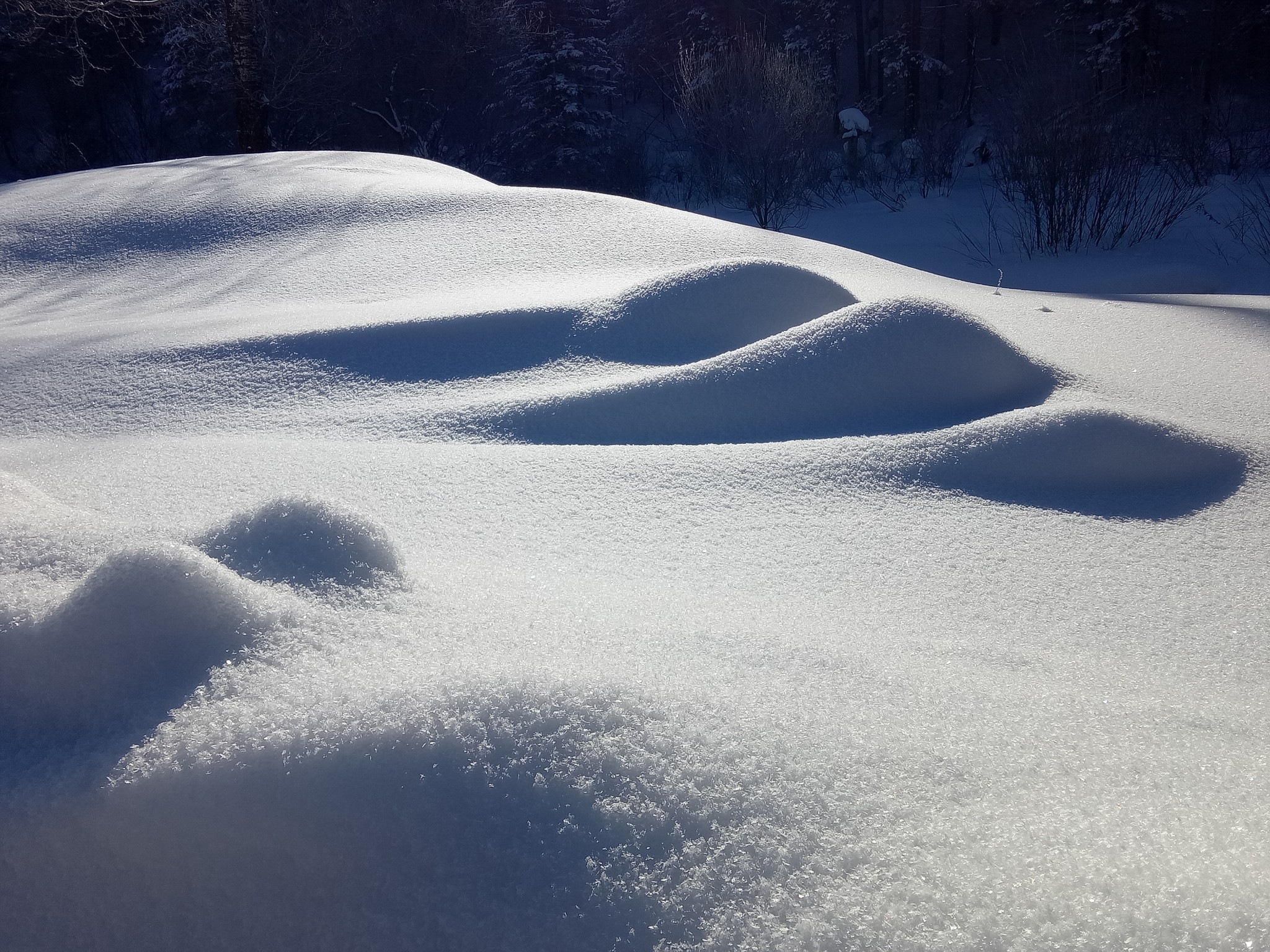 雪鄉自助遊攻略