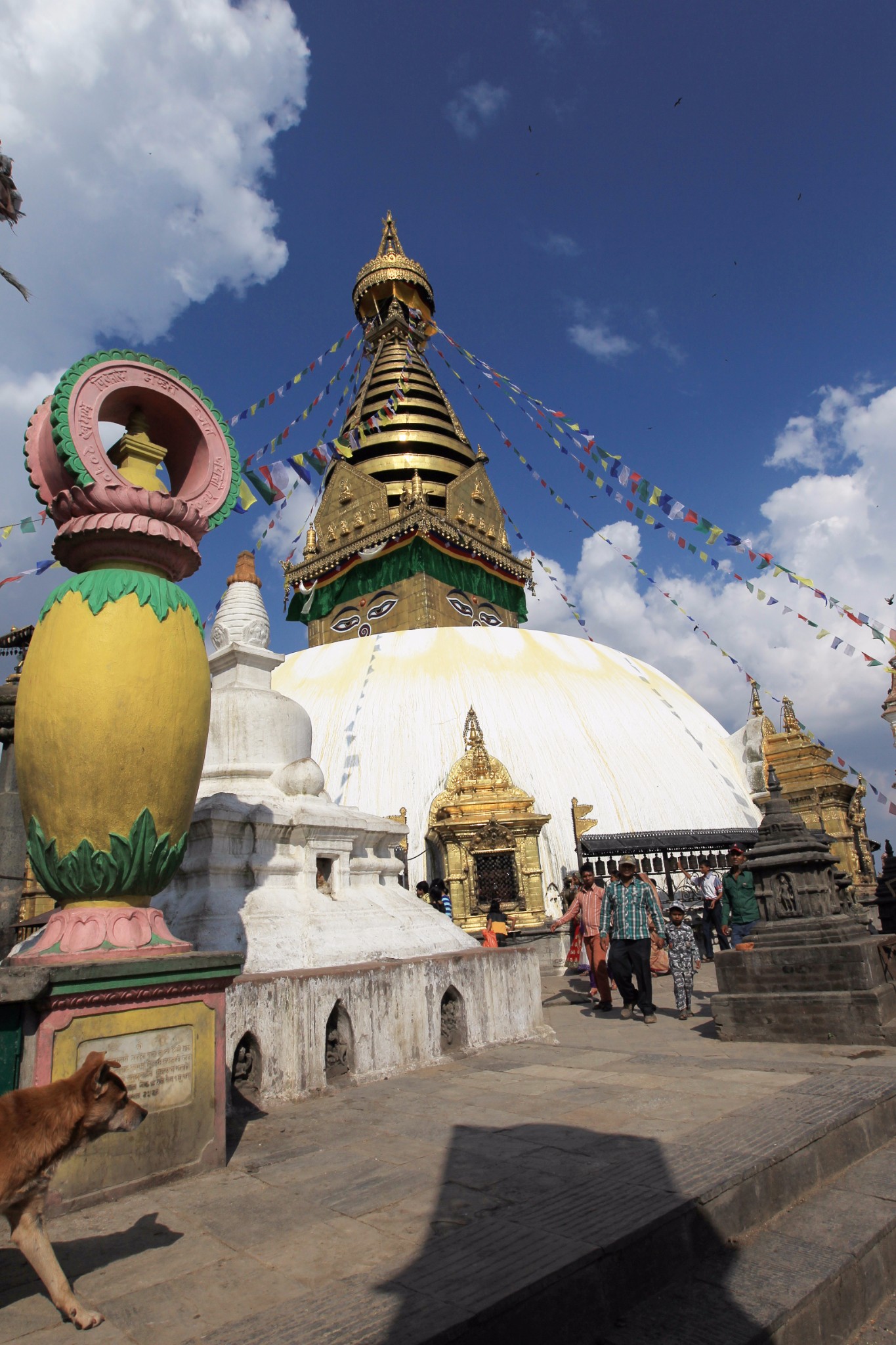 2014环西藏行-尼泊尔:加德满都-奇旺特-博卡拉-加德满都(10月2日-10月