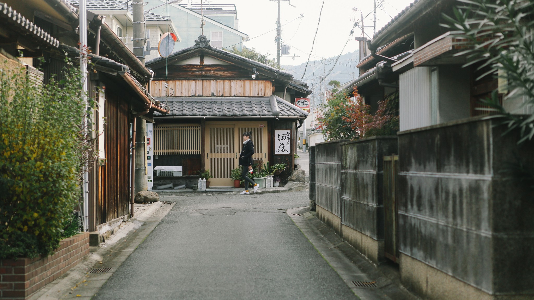 京都自助遊攻略