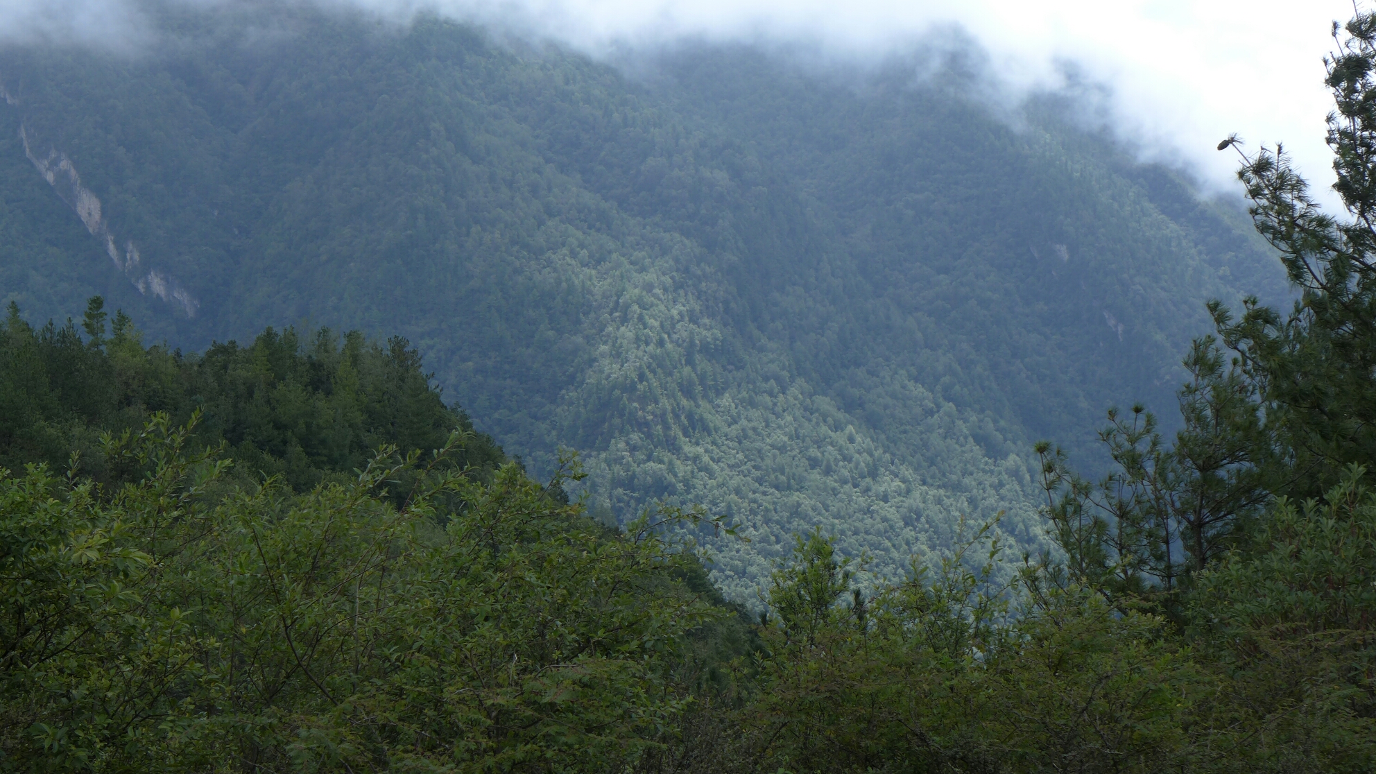 牛背山自助遊攻略