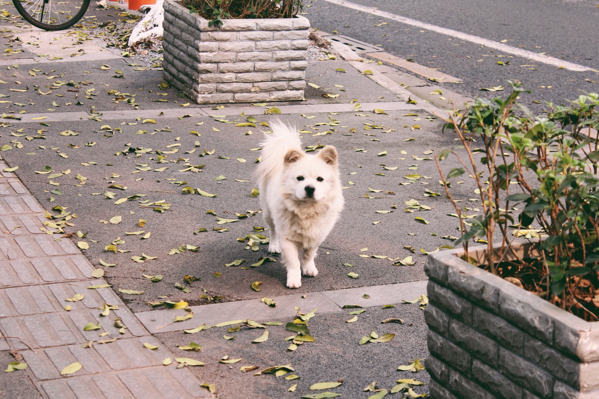 南京自助遊攻略