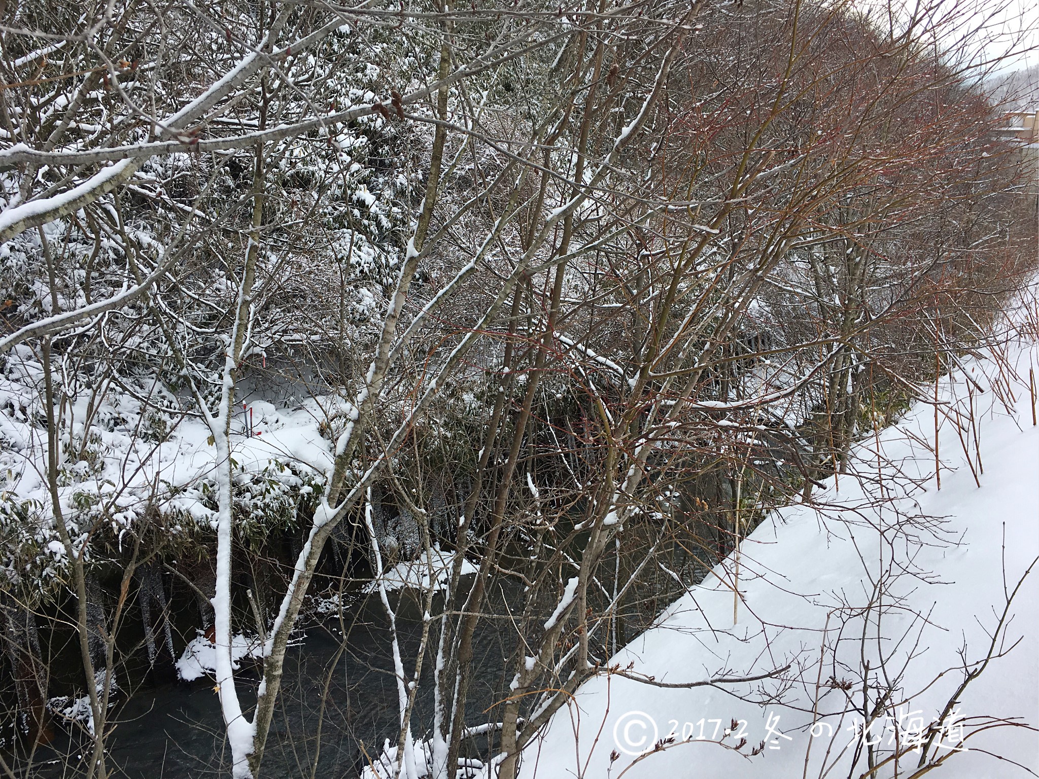 北海道自助遊攻略