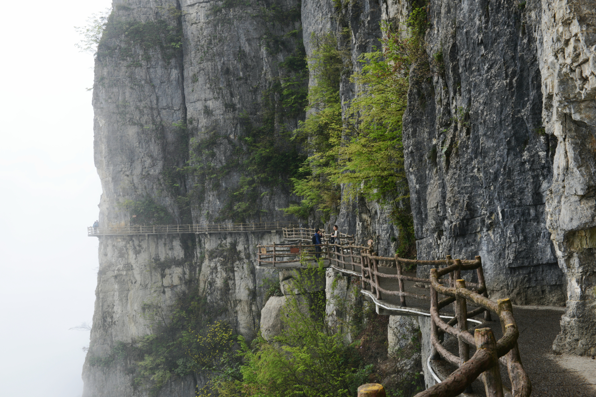 wKgBZ1k6IduAboMXADJw4GTwLrQ90.jpeg?imageView2%2F2%2Fw%2F680%2Fq%2F90%7CimageMogr2%2Fstrip%2Fquality%2F90