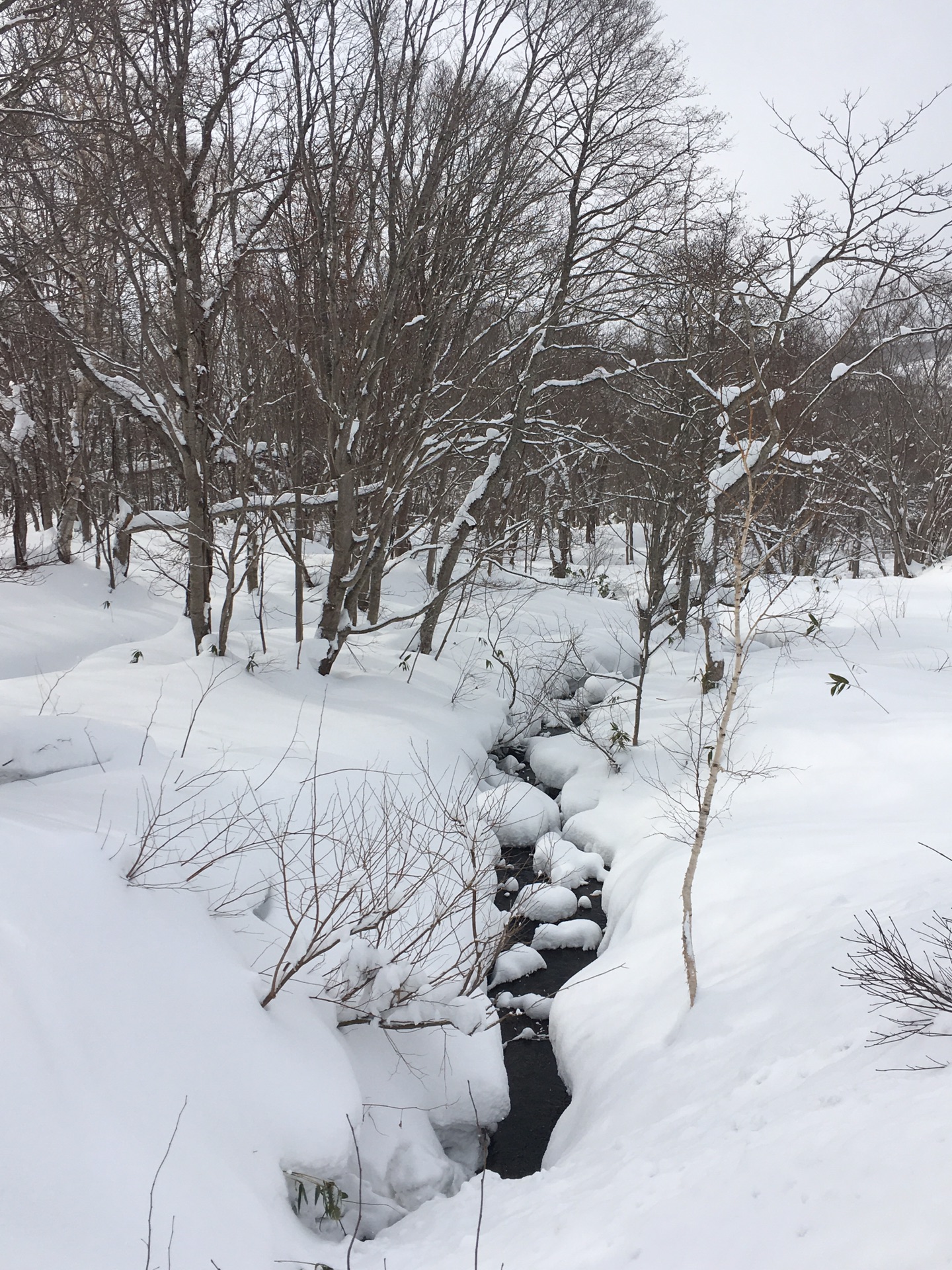 北海道自助遊攻略