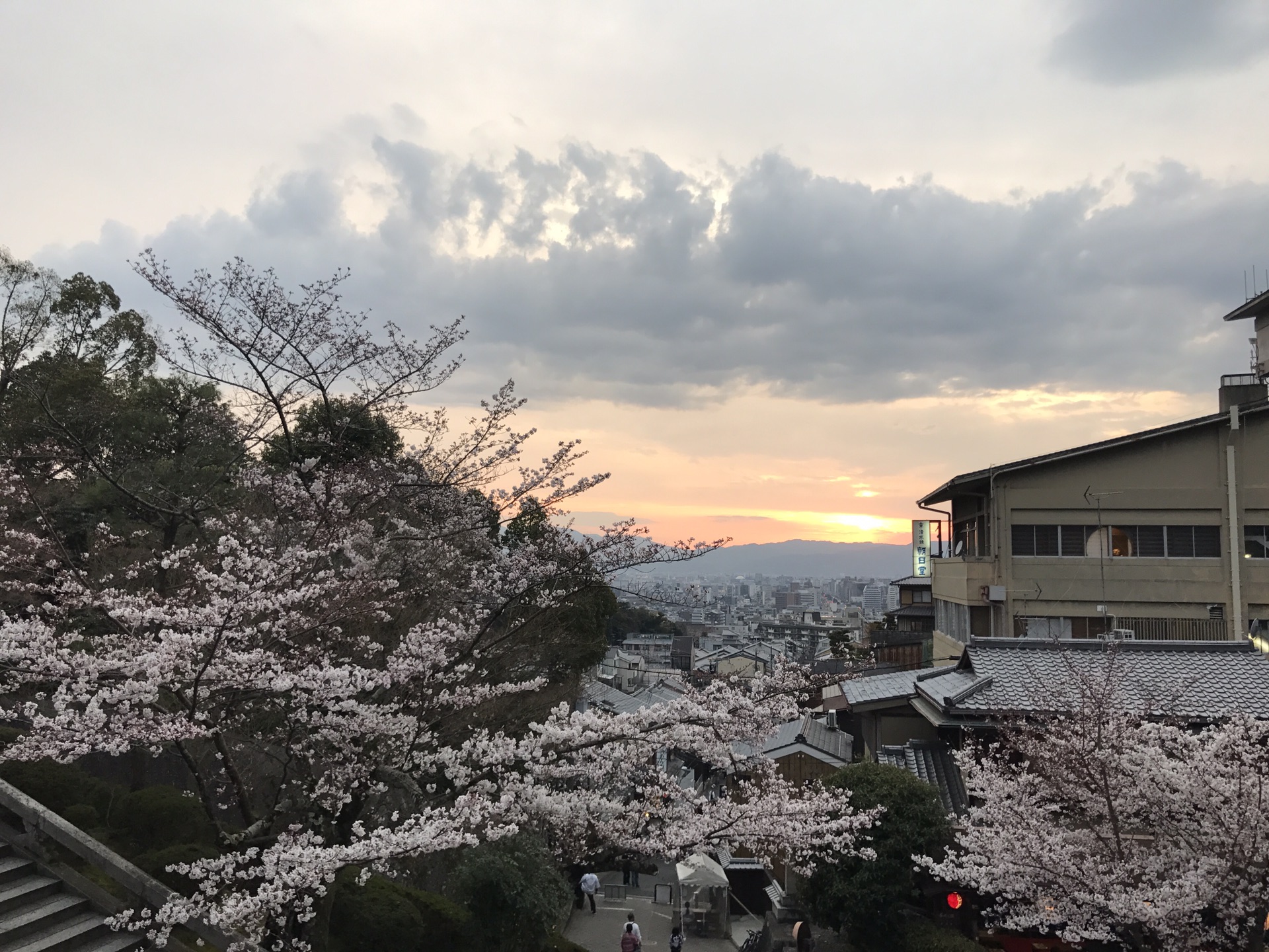 京都自助遊攻略