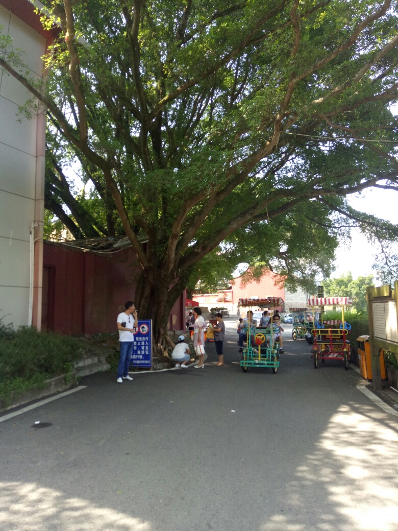 国庆宁德霍童古镇支提山南漈山2日游