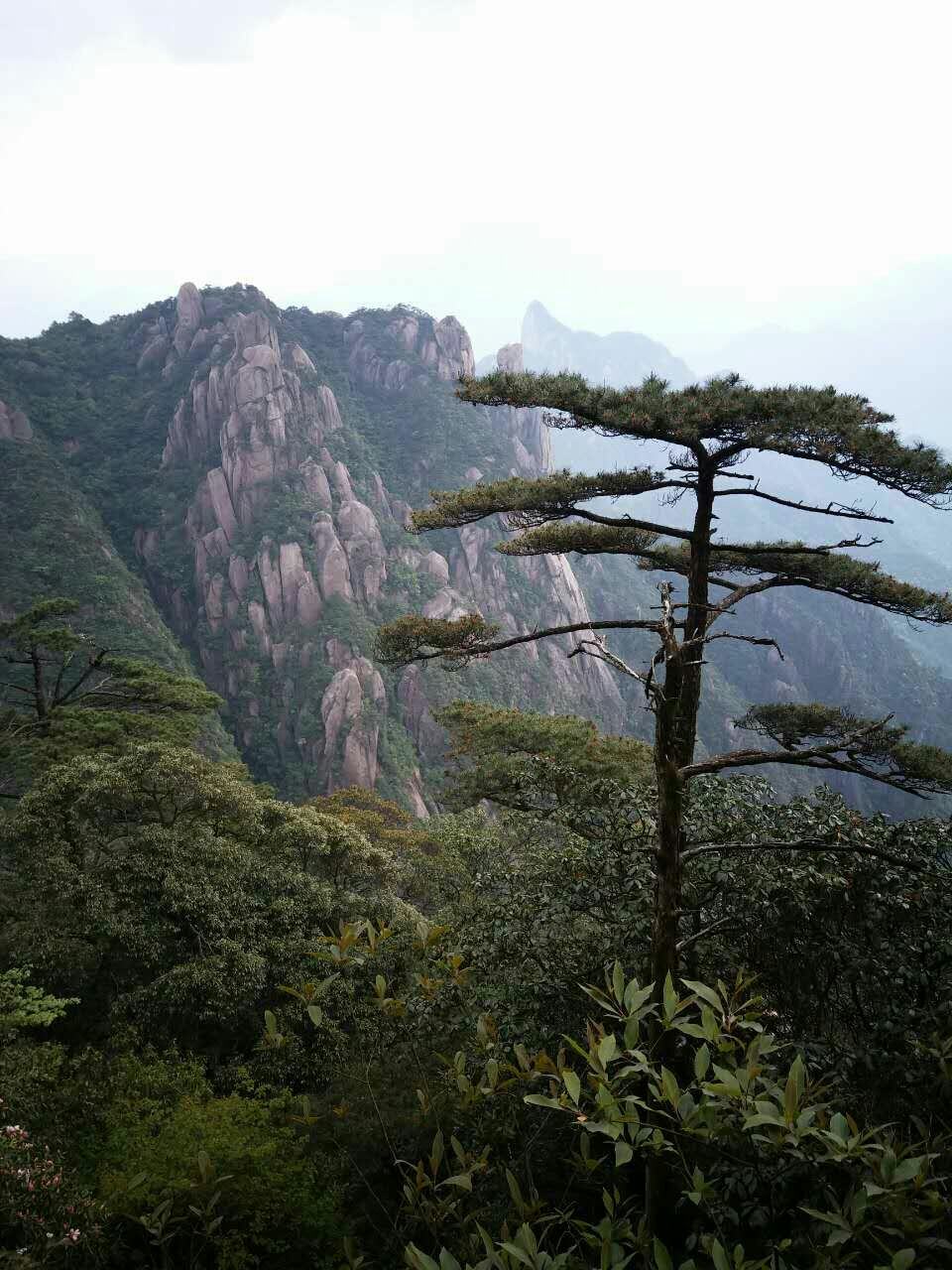 三清山自助遊攻略