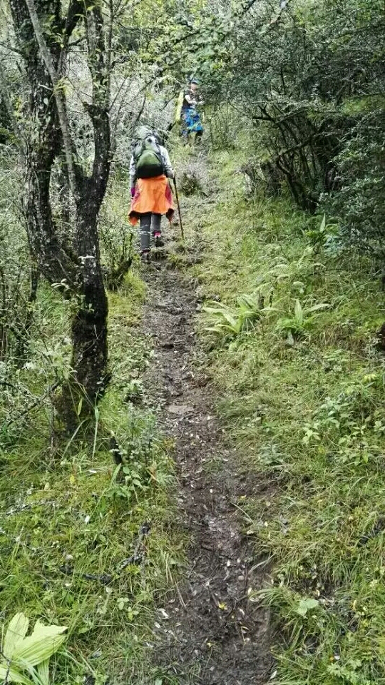 牛背山自助遊攻略