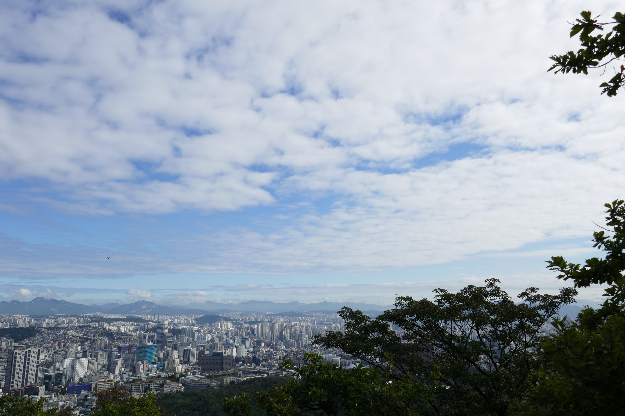 濟州島自助遊攻略