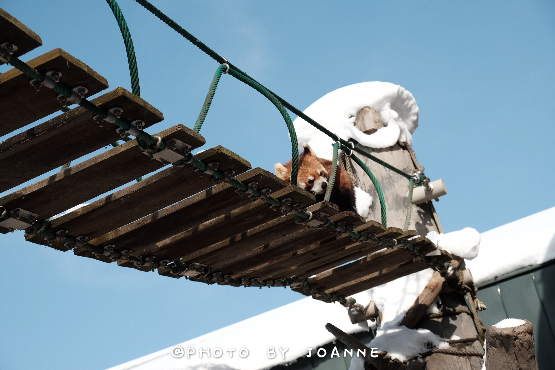 北海道自助遊攻略