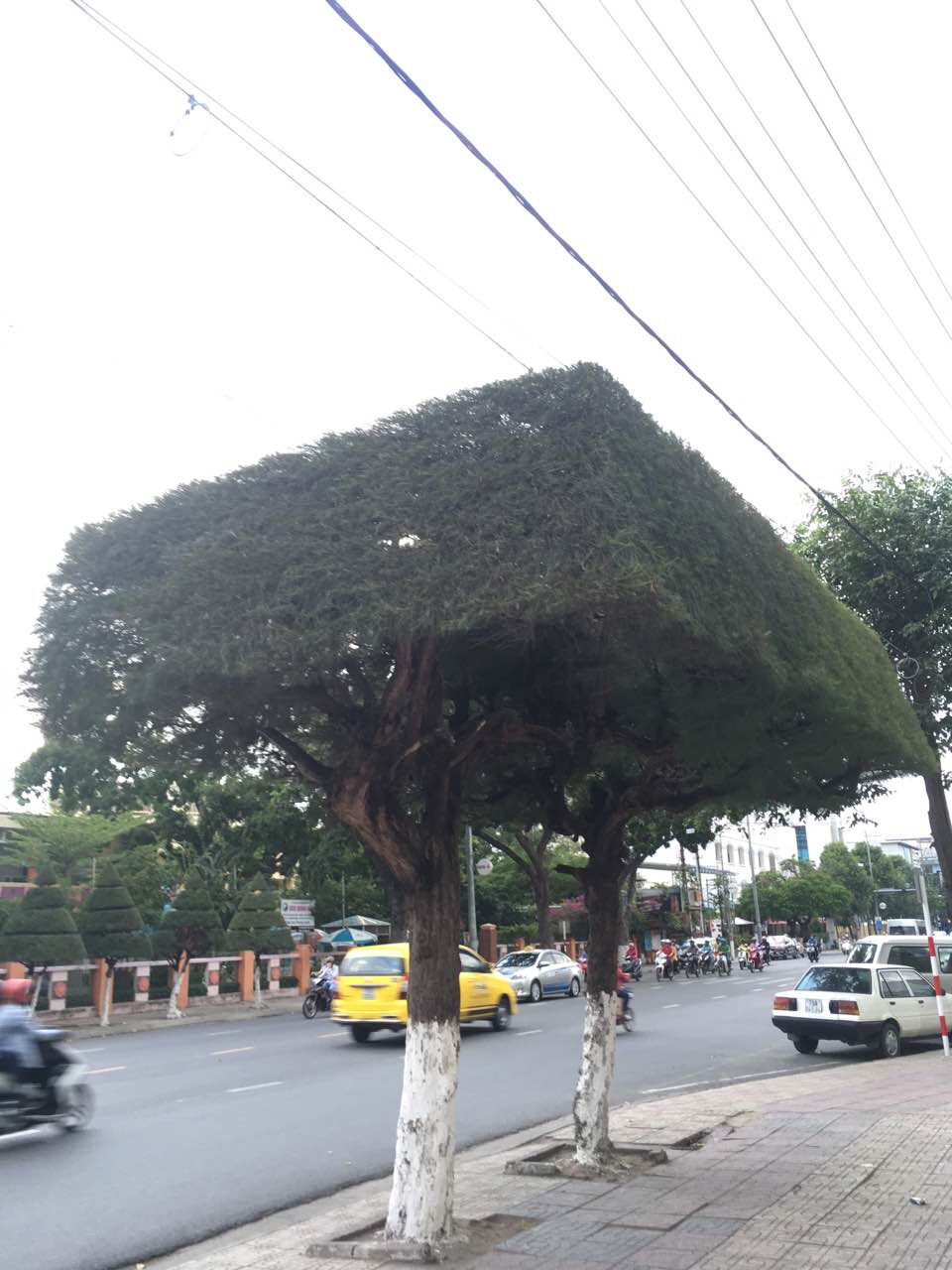 峴港自助遊攻略