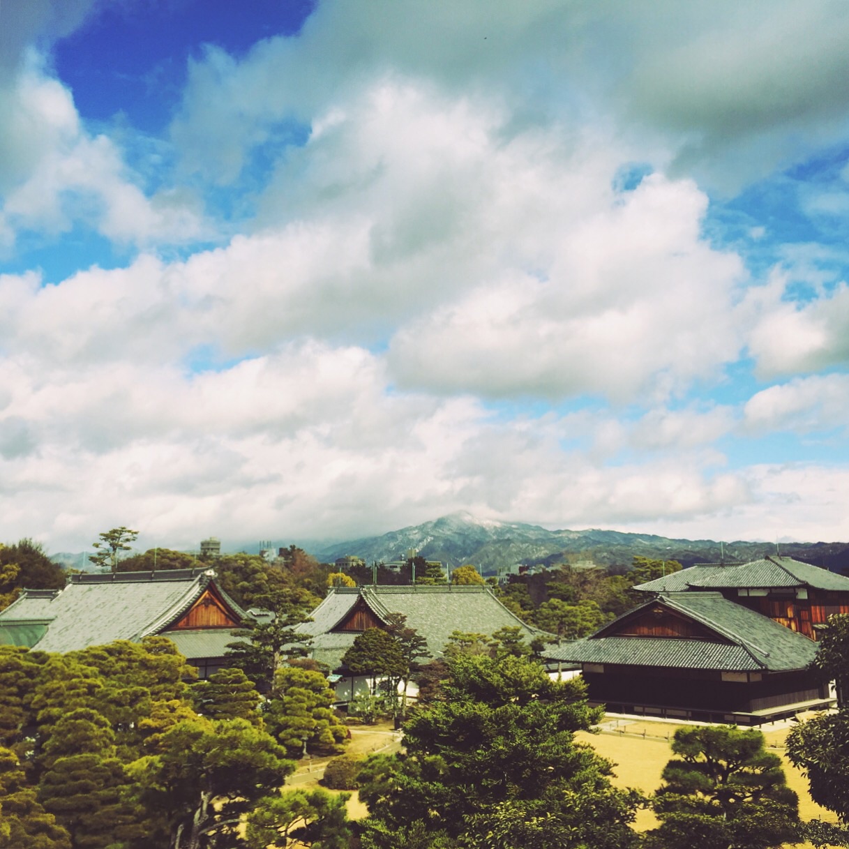 京都自助遊攻略