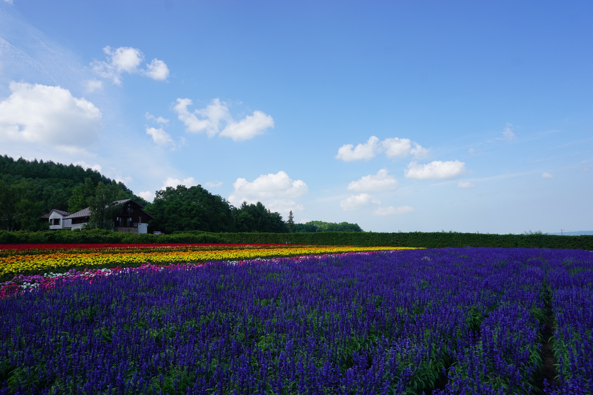 北海道自助遊攻略