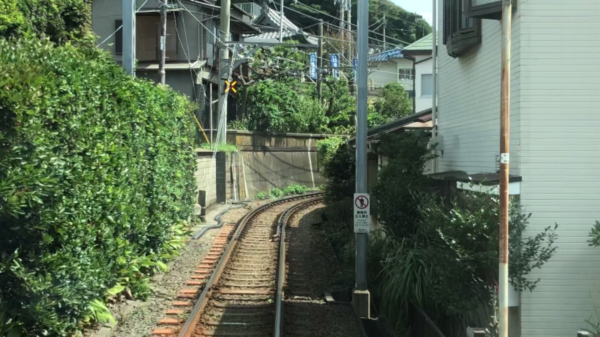 東京自助遊攻略