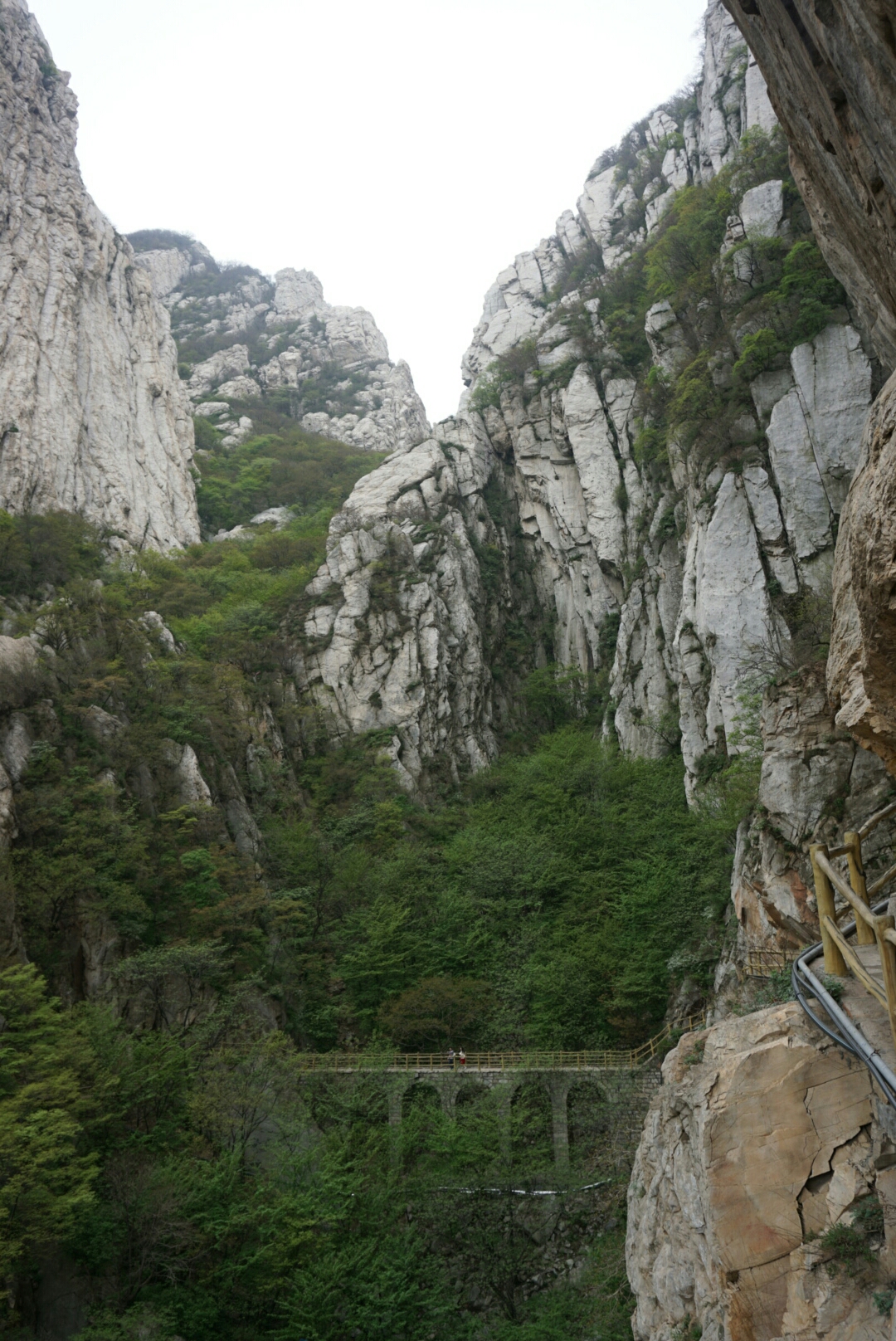 wKgBZ1kGev-AXhDuABQshaKOMZM19.jpeg?imageView2%2F2%2Fw%2F680%2Fq%2F90%7CimageMogr2%2Fstrip%2Fquality%2F90