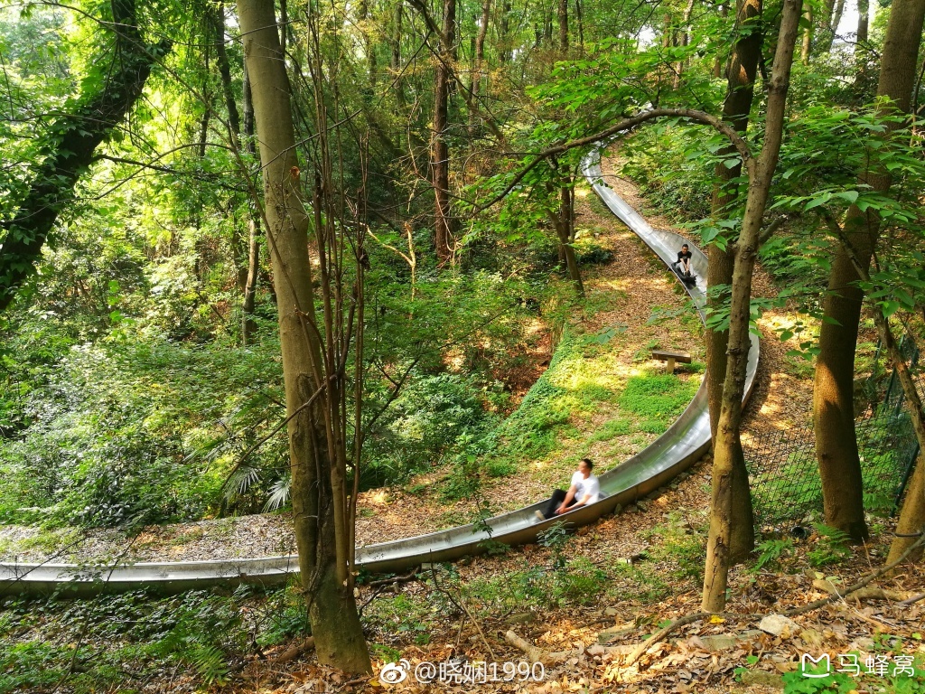 点击查看大图 点击查看大图  磨山景区里还有滑道和索道可以玩,感兴趣