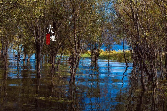 雲南自助遊攻略