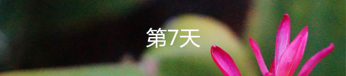 7 7