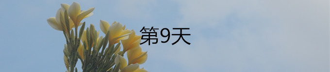 9 9