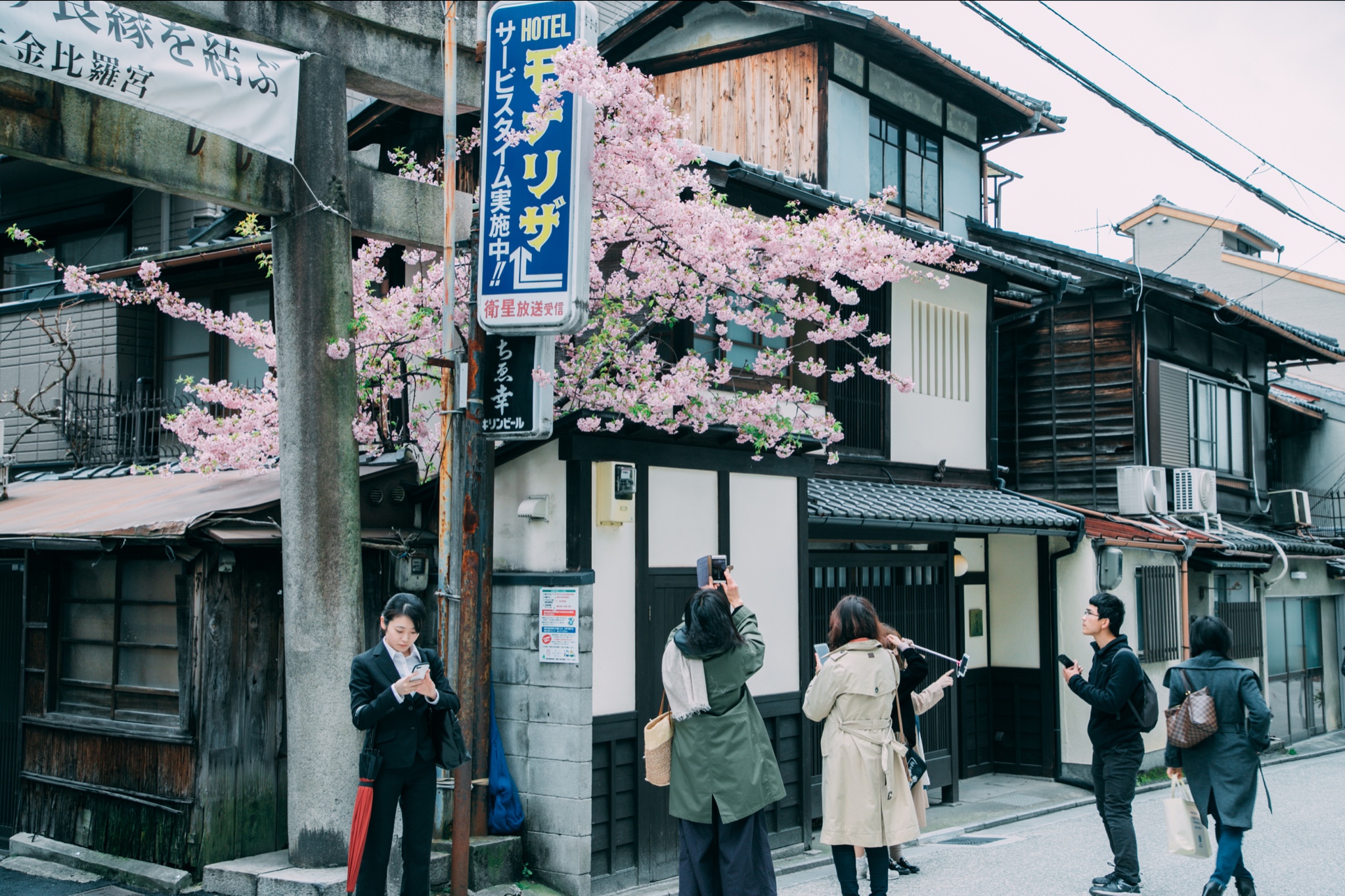 京都自助遊攻略