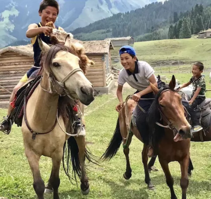 新疆 那拉提骑马的最好地方,或推荐骑马出行的旅游项目,或可以养马