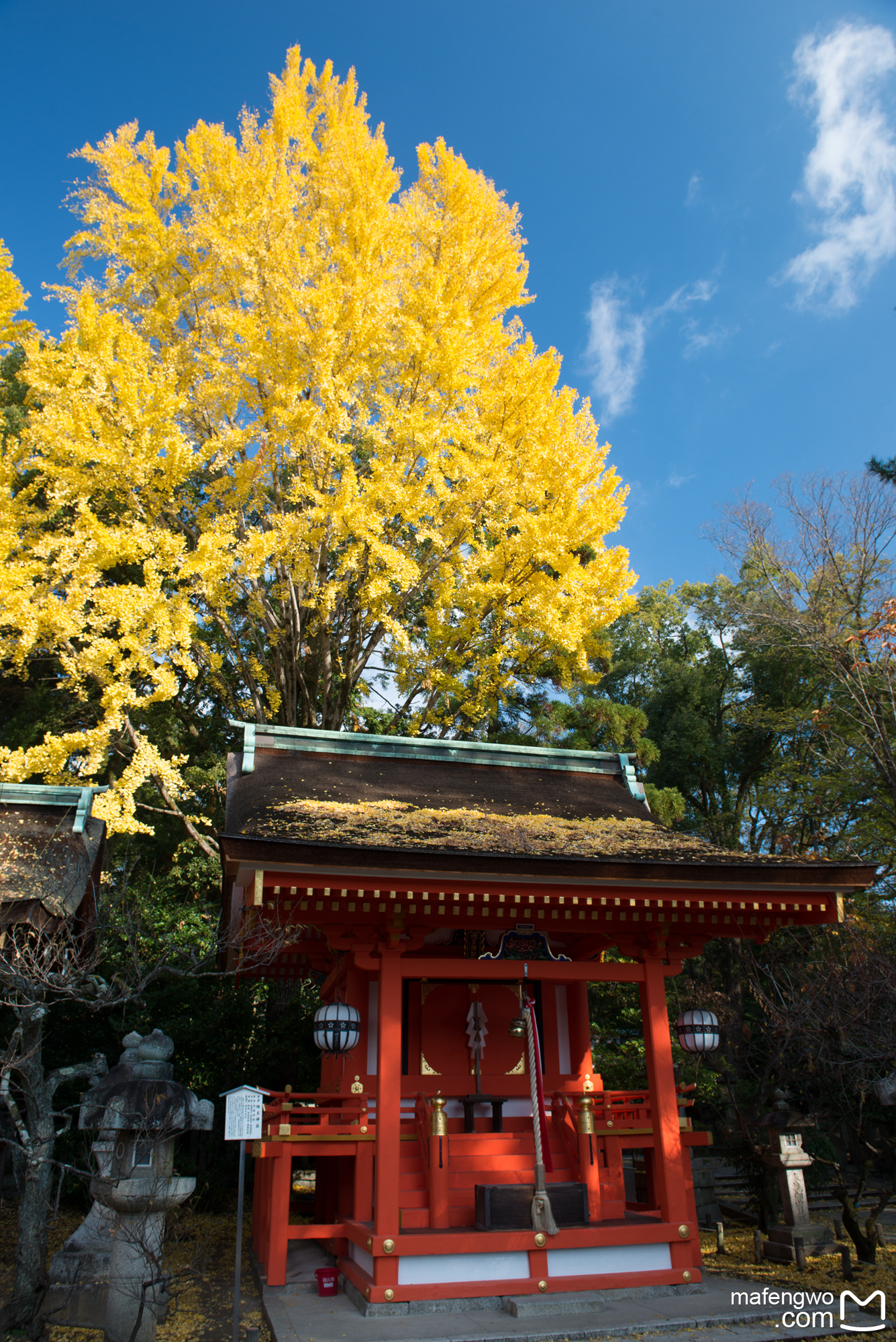 京都自助遊攻略