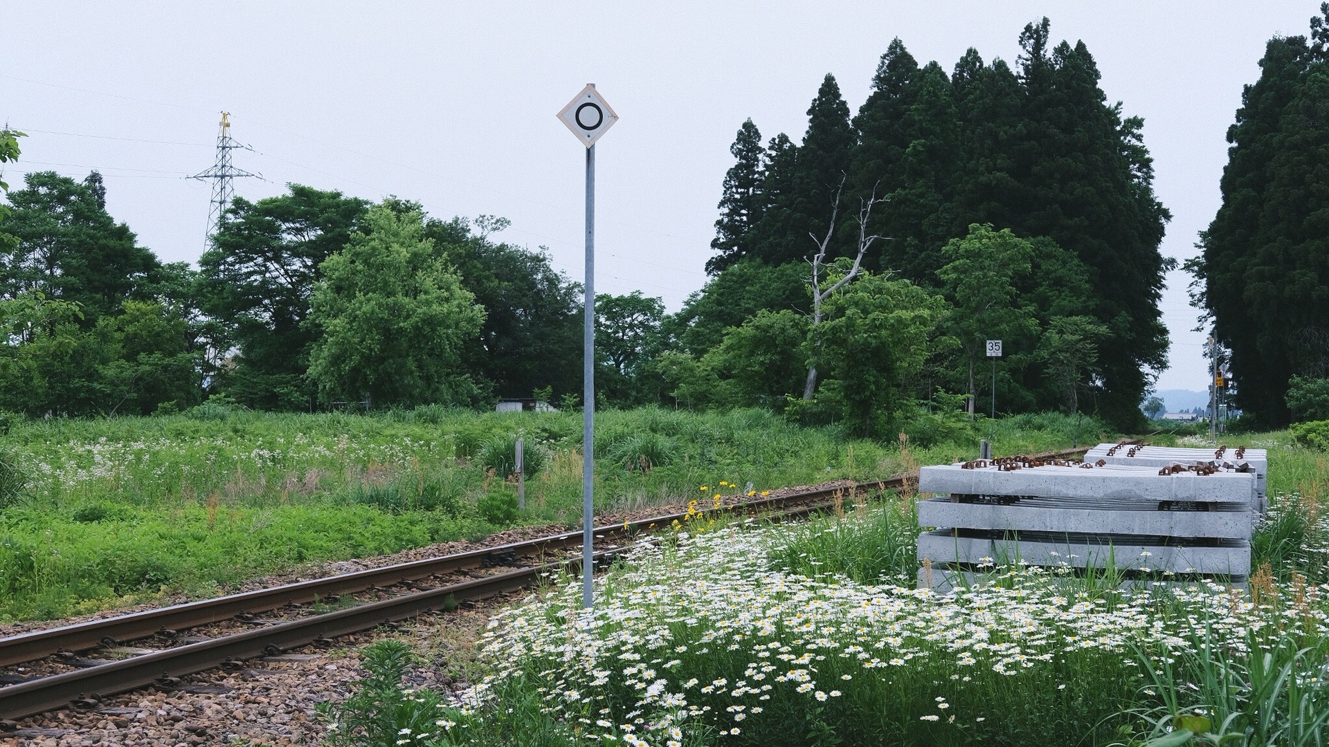 日本自助遊攻略